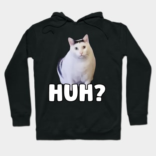 Huh Cat Meme Hoodie